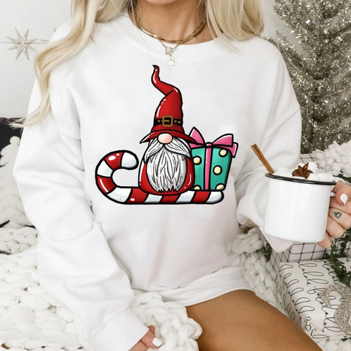 HANORACE & BLUZE CRACIUN